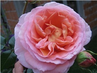 12b512d2-IMG_0567.jpg