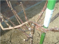 12bdd34e-DSC03371.JPG