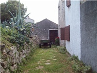 12cd1b5a-101_2106.jpg