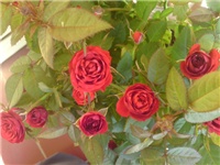13444321-P17-04-13_13.3201.JPG
