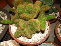 134e9b90-IMG_2706.jpg