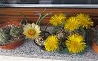 13cd5fb7-059.JPG