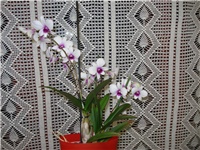 140079a5-DSC05859.JPG