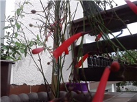 141cdbd9-P150614_16.39.jpg