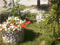 149a39ab-P6220618.JPG