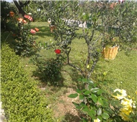 15af6305-20140510_153520.jpg