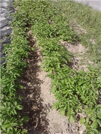 161bcea1-P210514_16.09.jpg