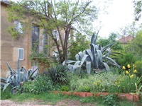 17dadea0-101_1610.jpg