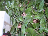 180bcb76-S5000134.JPG