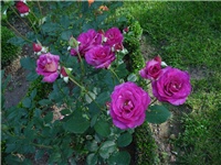 180fade0-DSC07969.JPG