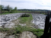 19673fa1-DSCI0205.JPG