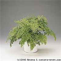19e41b70-3.jpg