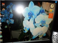 19fc0bef-SAM_0388.JPG