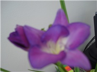 1a03303f-036.JPG