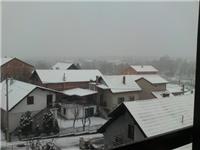 1a42edf2-P25-03-13_10.2103.jpg