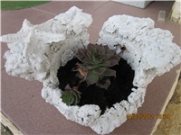 1aaef4d4-IMG_0690.JPG