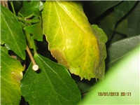 1ab79cf9-032.JPG