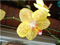 1c0abd9c-DSC05957.JPG