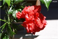 1c196ead-IMG_2167.JPG