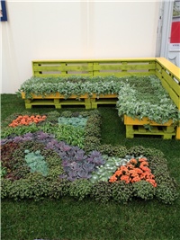 1cb33b6a-IMG_0768.JPG