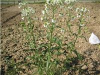 1ddf6753-IMG_3707.jpg