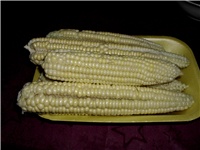 1ea090c0-DSCI1622.JPG