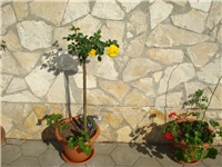 1ee7640e-DSC06009.JPG