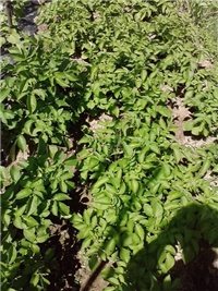 1f21e567-P270514_14.45.jpg