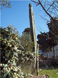 1f66003e-101_1113.jpg