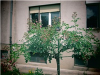 1fe448d0-IMG_0349.jpg
