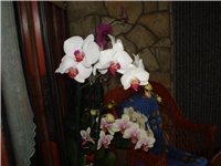 1fed5004-DSC05684.JPG