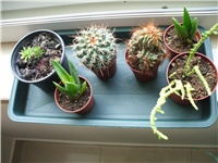 1ffab1c0-DSCF0995.JPG