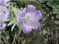 205615d2-DSCI1254.JPG