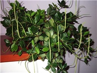 20ad9db6-DSCF3139.JPG