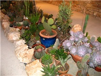20ca9618-IMG_2764.jpg