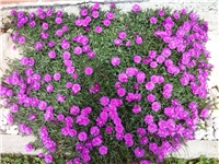 210d984c-354.jpg