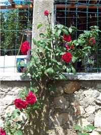 21b13527-101_1738.jpg