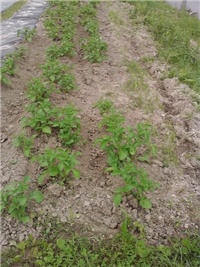225b5bd4-P070514_15.42.jpg