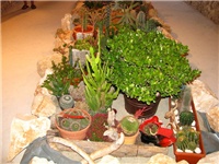 2262bff9-IMG_2773.jpg
