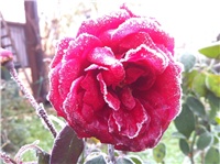 22d98c44-IMG_3174.JPG