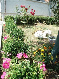 22e7343e-051.JPG