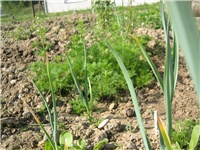 22f55b12-IMG_3702.jpg