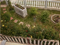 232910ba-P5060655.JPG