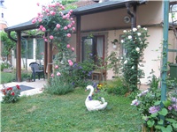 23fb53a9-IMG_0683.jpg
