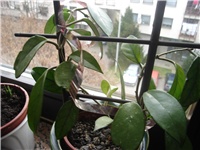 25648ee0-DSC03347.JPG