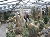 2569df7a-IMG_0248.JPG