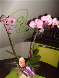 2584f42e-DSC04526.JPG