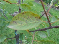 259dc67b-DSCN0750.JPG