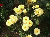 25c06e0c-PA020142.JPG