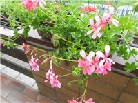 26102f67-DSCN0928.JPG